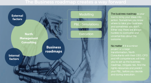 Business roadmaps 3 1 North Consultants