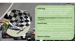 Business roadmaps 5 1 North Consultants
