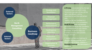 Business roadmaps 5 North Consultants