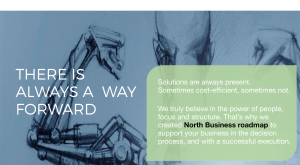 Business roadmaps 6 1 North Consultants
