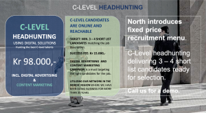 C level headhunting North Consultants