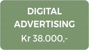 Digital advertising 1 North Consultants
