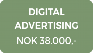 Digital advertising North Consultants