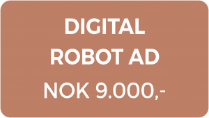 Digital robot ad North Consultants