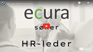 Ecura HR-Leder North Consultants